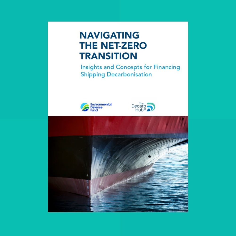 Navigating the Net-Zero Transition