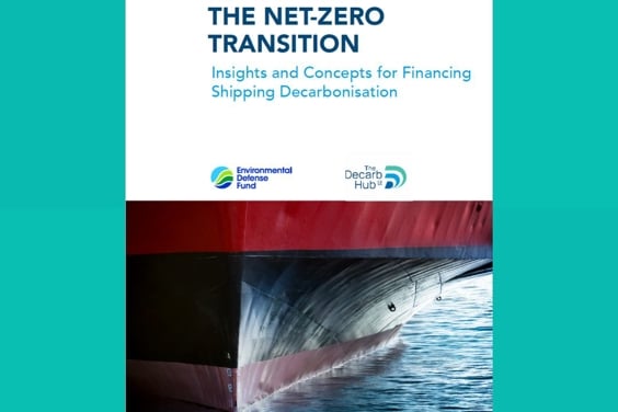 Navigating the Net-Zero Transition