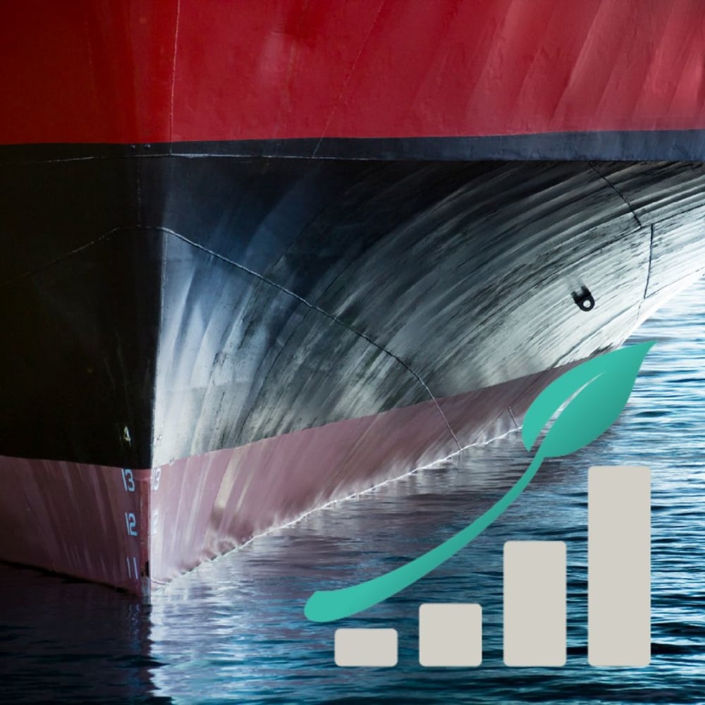 Sustainable Finance for Shipping's Decarbonisation